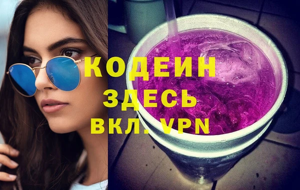индика Алексин