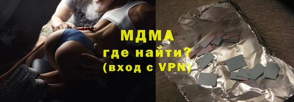 индика Алексин