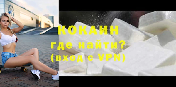 индика Алексин