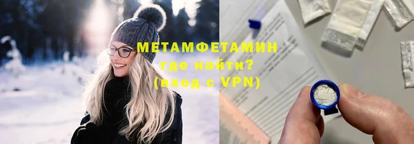 индика Алексин
