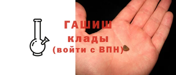 индика Алексин