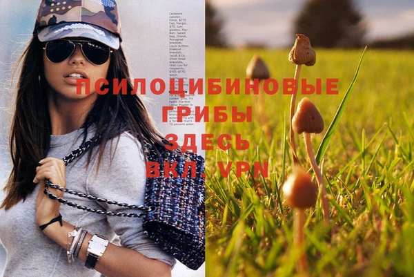 MESCALINE Алексеевка