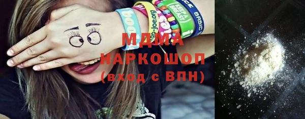 индика Алексин