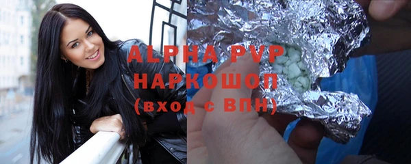 индика Алексин