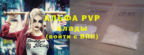 индика Алексин